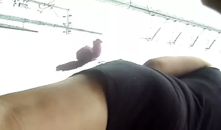 Bunda com muita Grande bokep janda2 SE