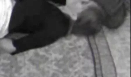 Kiara dans son Premier pengecoran bokep janda haus seks Amatir perso