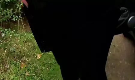 Charley Chase Memiliki Menakjubkan janda muda bokep